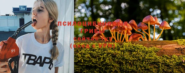 не бодяженный Россошь