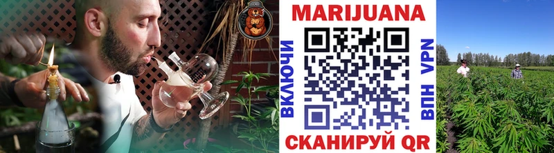 МАРИХУАНА AK-47  как найти наркотики  Шахунья 